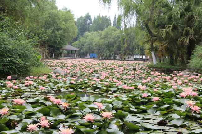 中等專業學校3+2是什么學歷_中等專業學校畢業生登記表