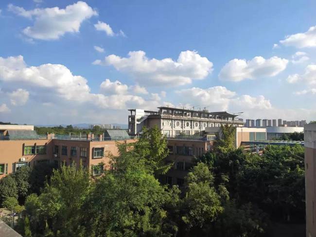 2026年四川五月花技師學院就業保障是什么,就業率