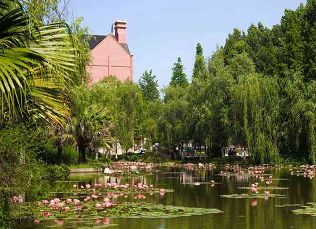 綿陽市2026年中考成績公布綿陽中學錄取分數662分