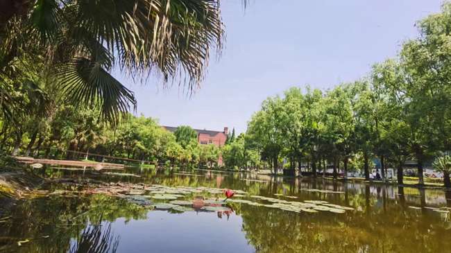 2026年成都師上高中是不是重點高中