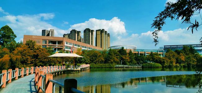 成都東星航空旅游專修學(xué)院