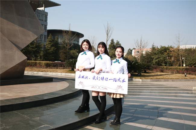 2026黃岡市大光華高中,美苑高中錄取分?jǐn)?shù)線（2026參考）