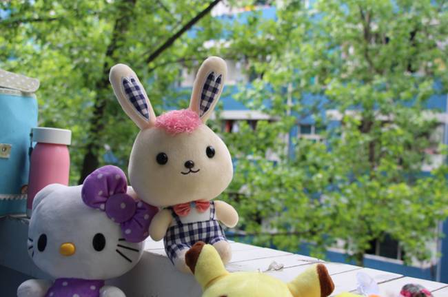 2026年四川省鹽業學校開設班級,志愿填報